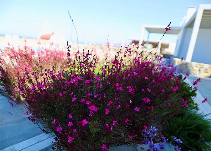 Margie Mykonos ホテル