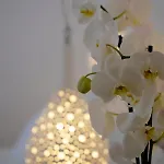 Margie Mykonos Отель Mykonos Town