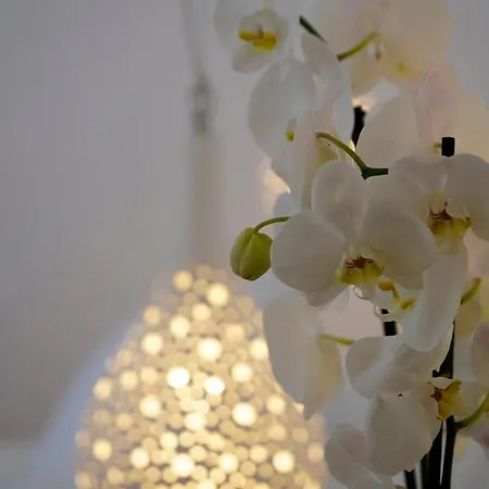 Margie Mykonos מלון Mykonos Town