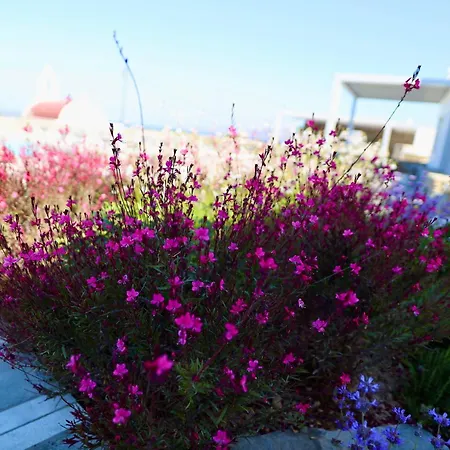 Margie Mykonos מלון