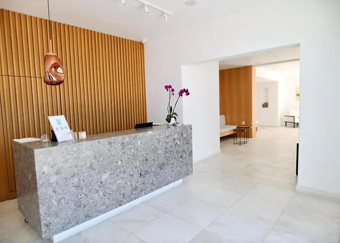 酒店 玛吉米科诺斯酒店 4*