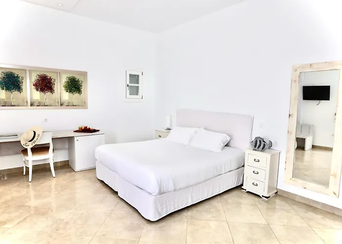 玛吉米科诺斯酒店 Mykonos Town