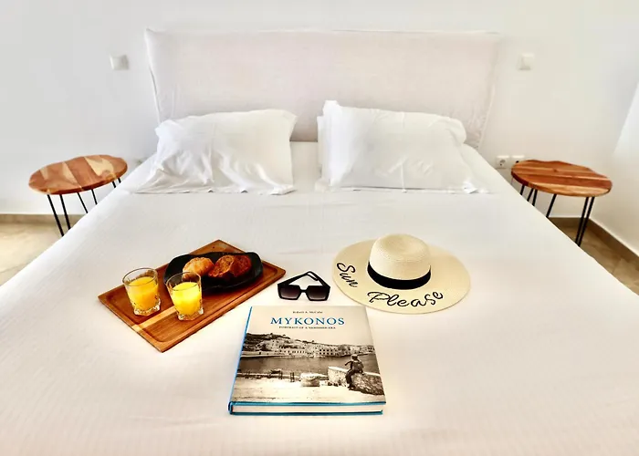 酒店 玛吉米科诺斯酒店 4*